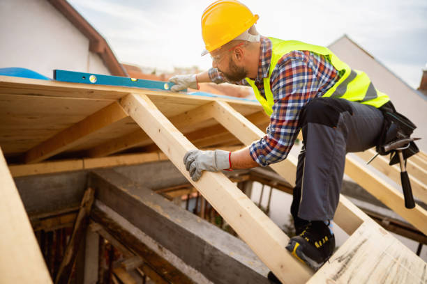 Best Roof Gutter Cleaning  in Tignall, GA