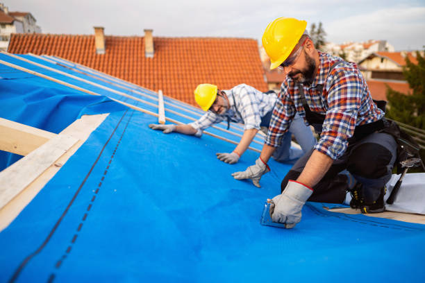 Best Storm Damage Roof Repair  in Tignall, GA